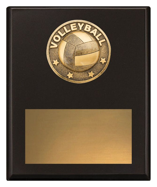 SP627C Challenge Plaque Volleyball 20cm