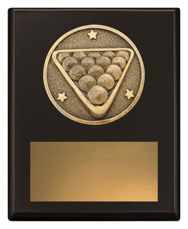 SP629A Challenge Plaque Pool 15cm