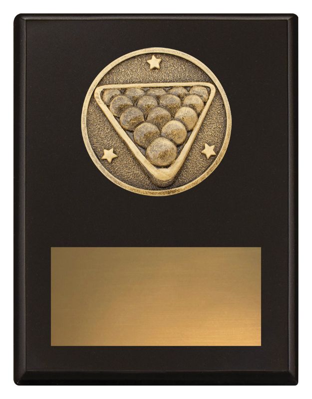 SP629B Challenge Plaque Pool 17.5cm