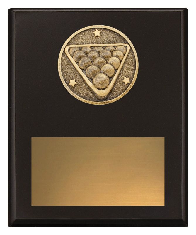 SP629C Challenge Plaque Pool 20cm