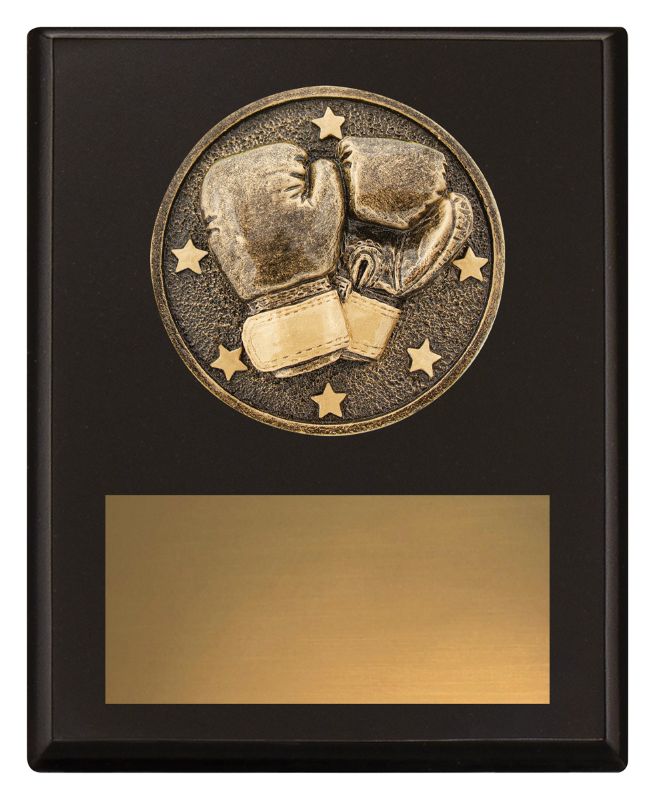 SP632A Challenge Plaque Boxing 15cm