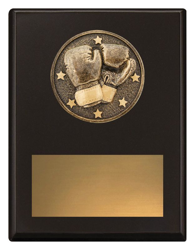 SP632B Challenge Plaque Boxing 17.5cm