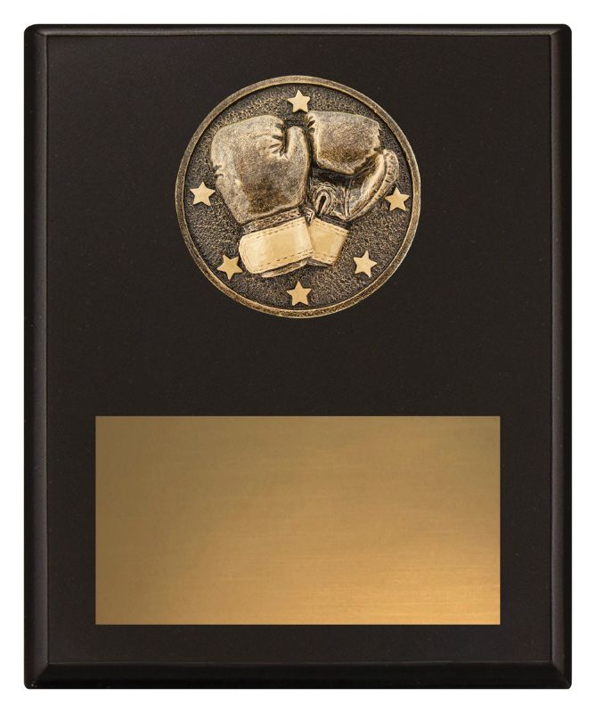 SP632C Challenge Plaque Boxing 20cm
