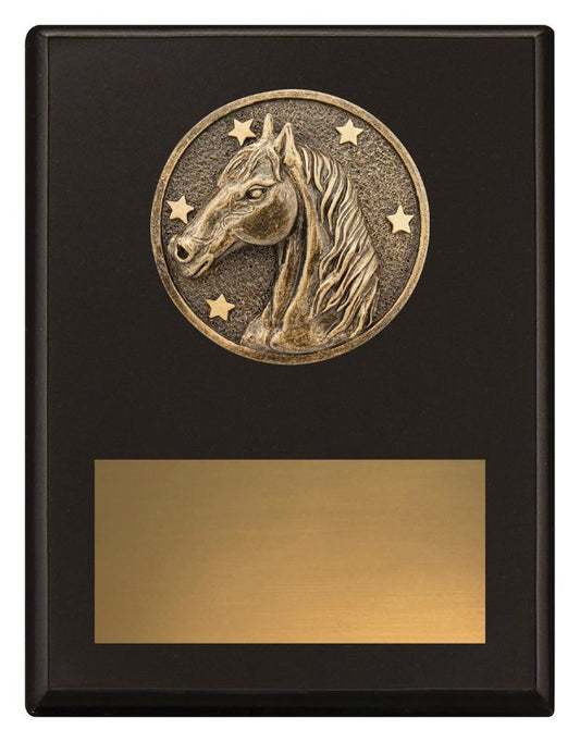 SP635B Challenge Plaque Horse 17.5cm