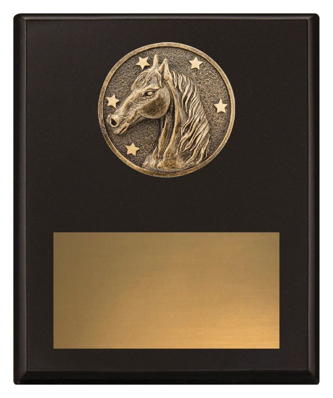SP635C Challenge Plaque Horse 20cm