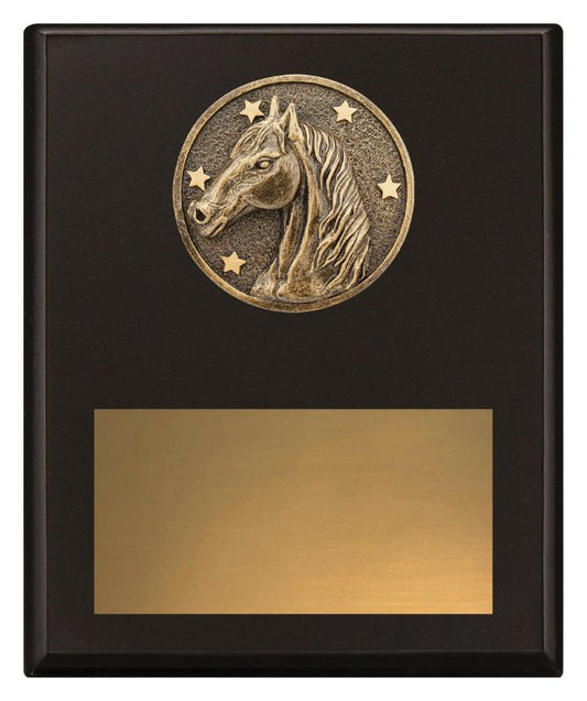 SP635C Challenge Plaque Horse 20cm