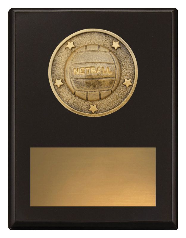 SP637B Challenge Plaque Netball 17.5cm