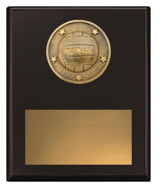 SP637C Challenge Plaque Netball 20cm