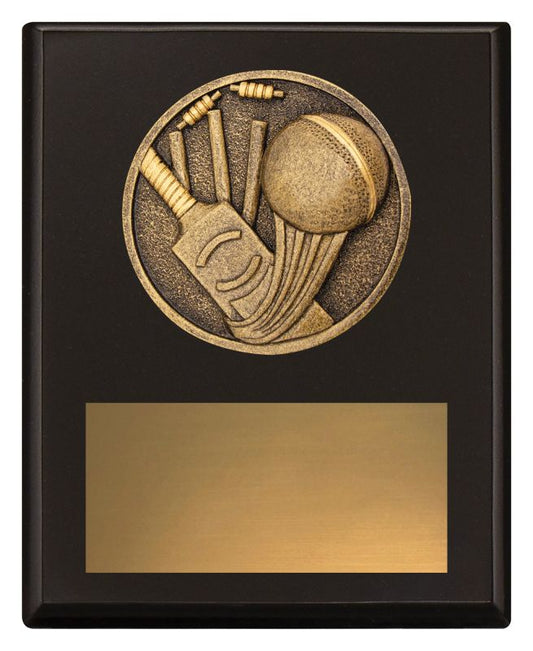SP640A Challenge Plaque Cricket 150mm