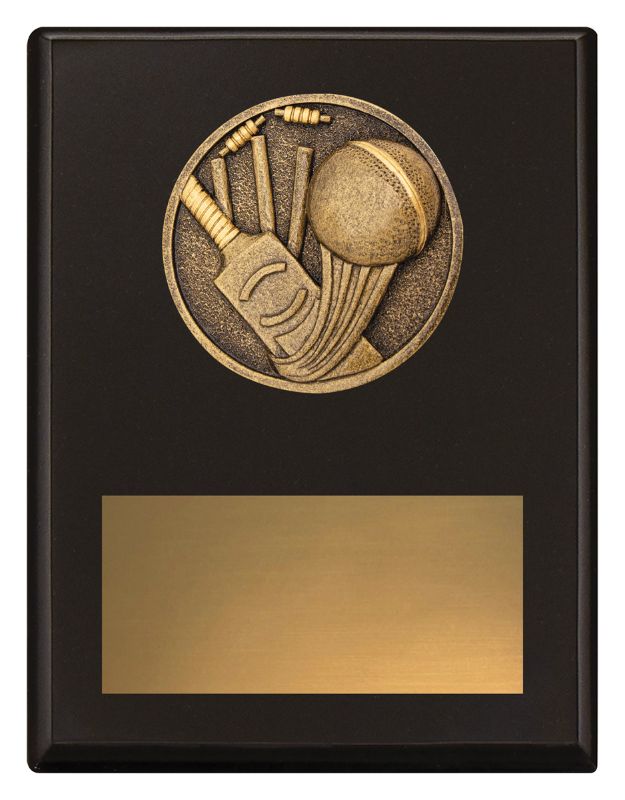 SP640B Challenge Plaque Cricket 175mm