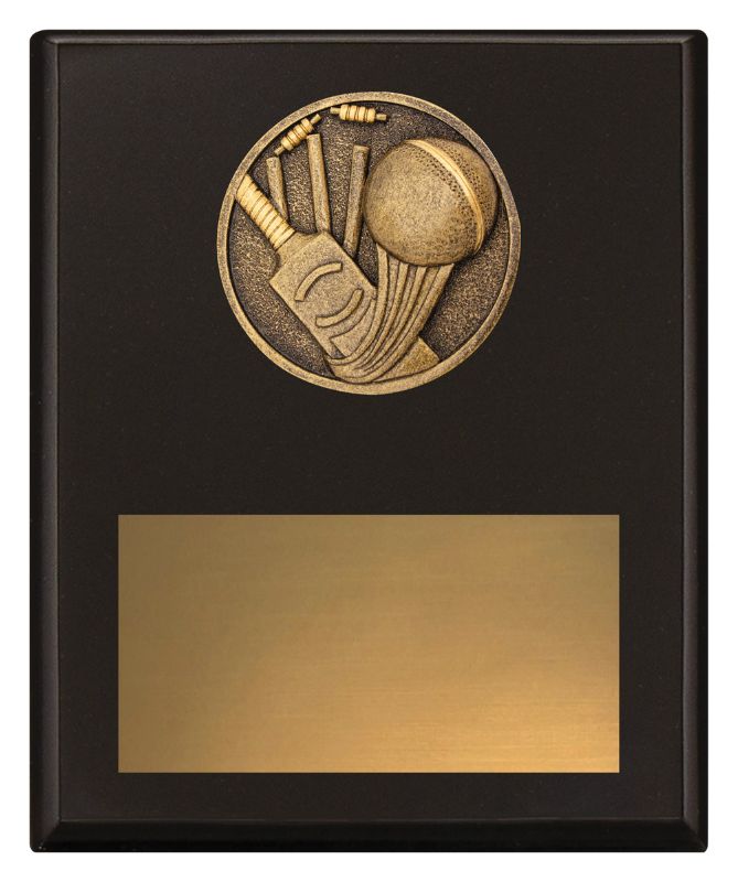 SP640C Challenge Plaque Cricket 200mm