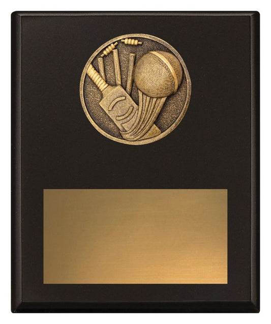SP640C Challenge Plaque Cricket 200mm
