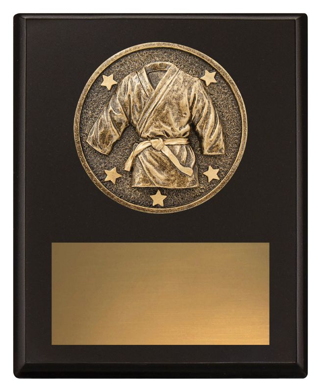 SP645A Challenge Plaque Martial Arts 15cm