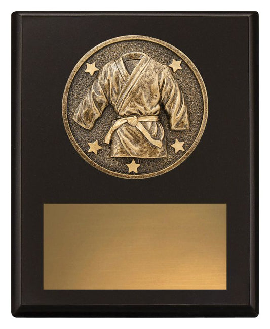 SP645A Challenge Plaque Martial Arts 15cm