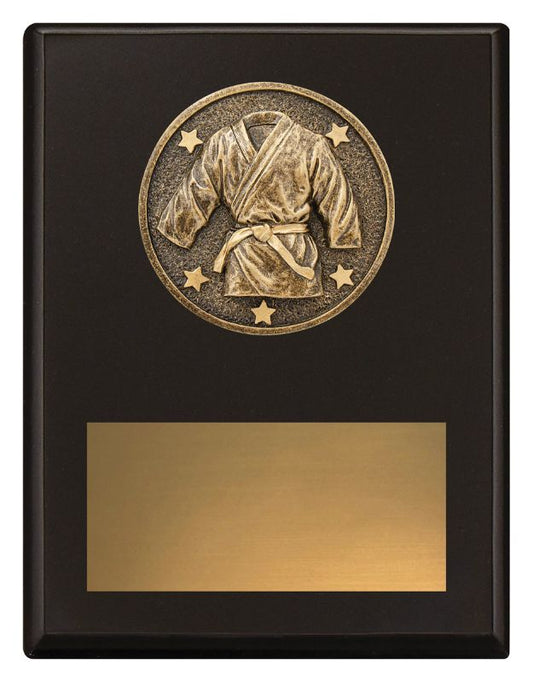 SP645B Challenge Plaque Martial Arts 17.5cm