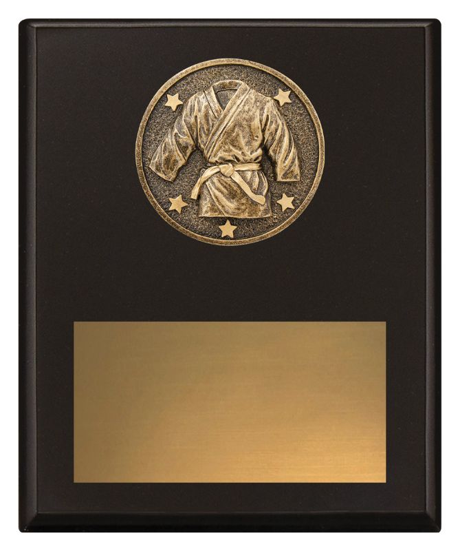 SP645C Challenge Plaque Martial Arts 20cm