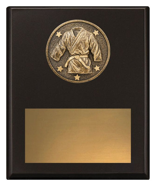SP645C Challenge Plaque Martial Arts 20cm