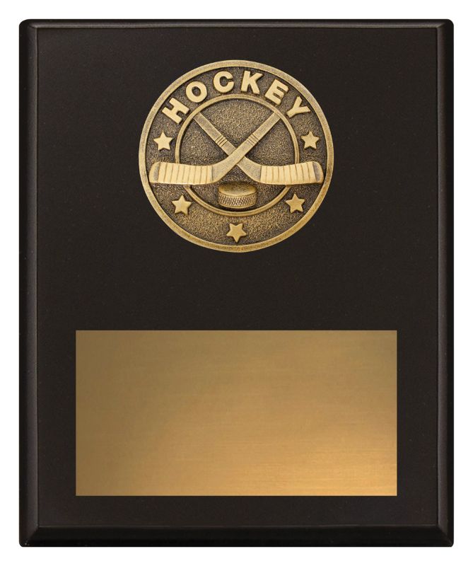 SP650C Challenge Plaque Ice Hockey 20cm