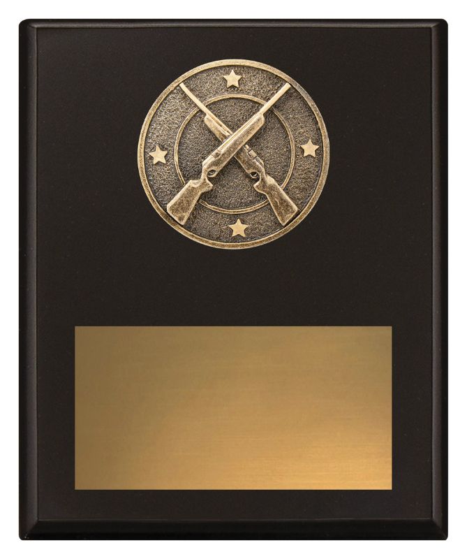 SP654C Challenge Plaque Rifle Shooting 20cm