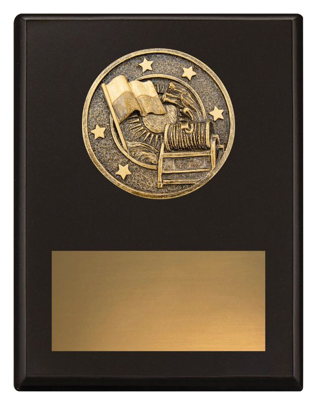SP658B Challenge Plaque Lifesaving 175mm