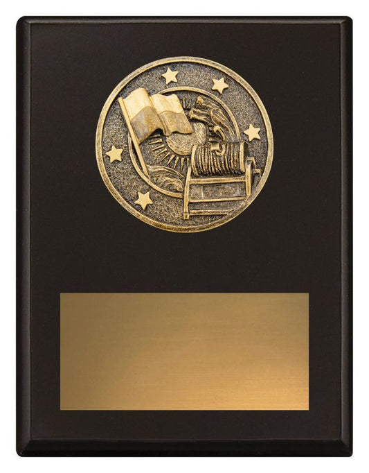 SP658B Challenge Plaque Lifesaving 175mm