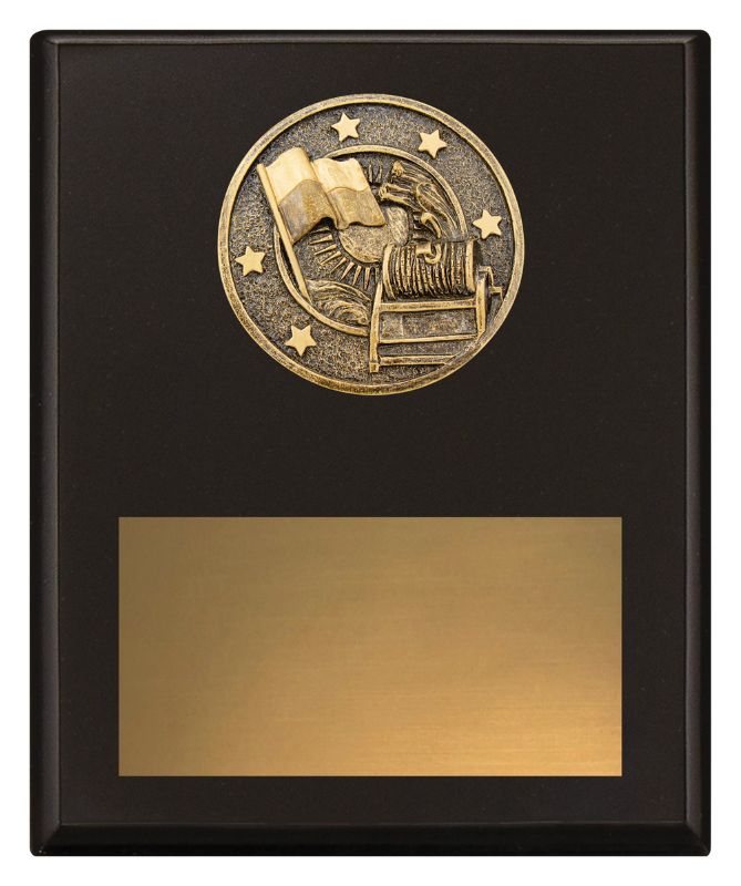 SP658C Challenge Plaque Lifesaving 200mm