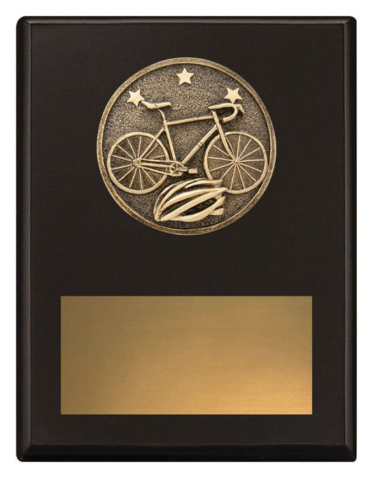 SP664B Challenge Plaque Cycling 17.5cm