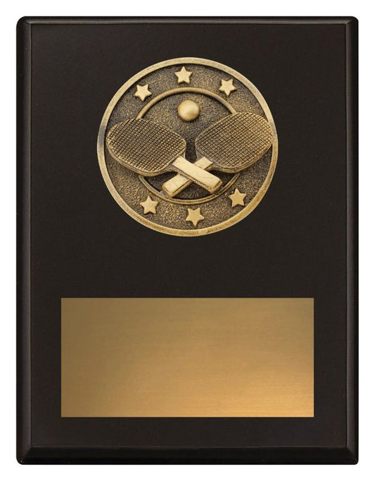 SP666B Challenge Plaque Table Tennis 17.5cm