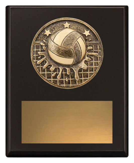 SP670A Challenge Plaque Water Polo 15cm