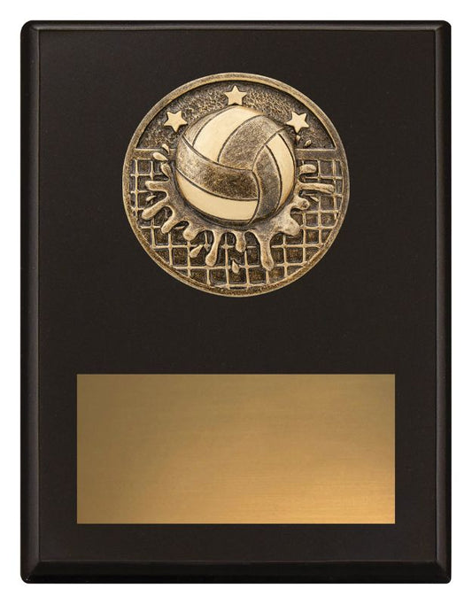 SP670B Challenge Plaque Water Polo 17.5cm