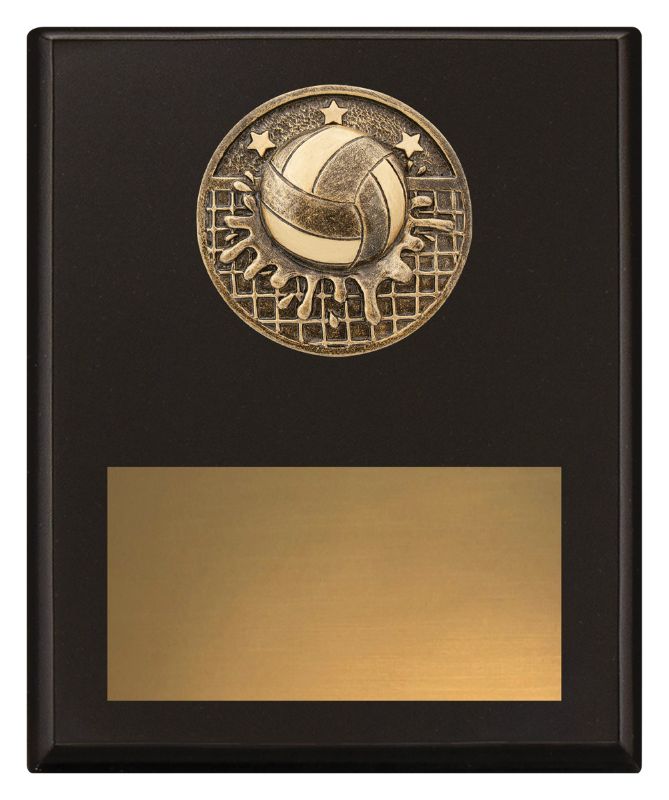 SP670C Challenge Plaque Water Polo 20cm
