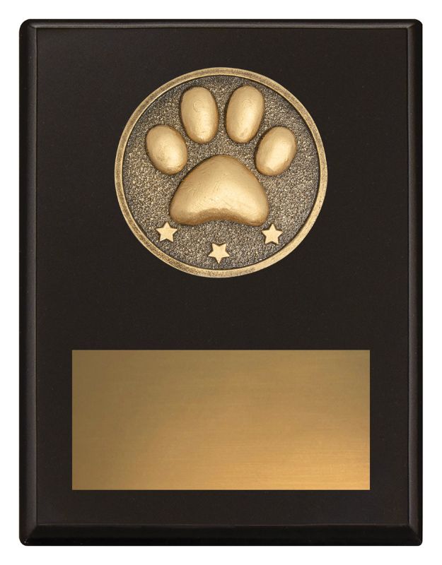 SP679B Challenge Plaque Pet Appreciation 17.5cm