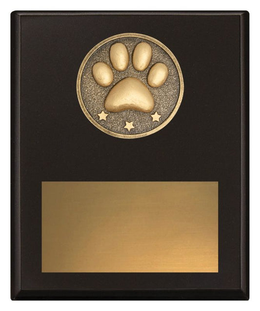 SP679C Challenge Plaque Pet Appreciation 20cm