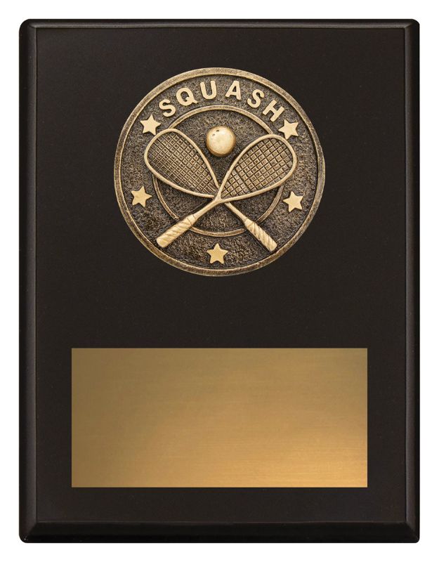 SP686B Challenge Plaque Squash 17.5cm