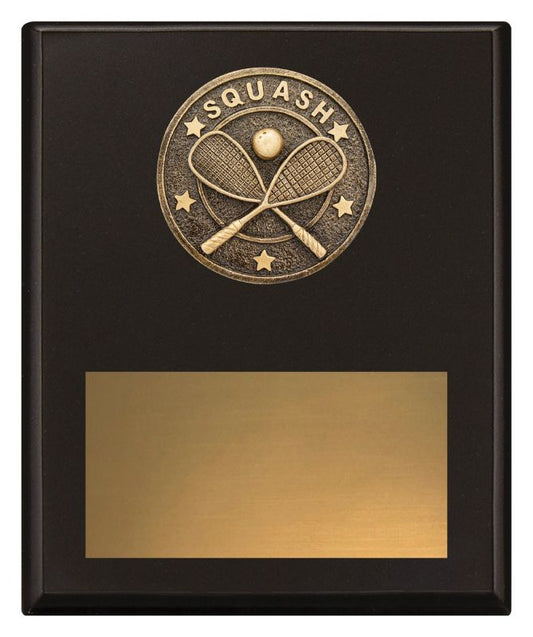 SP686C Challenge Plaque Squash 20cm