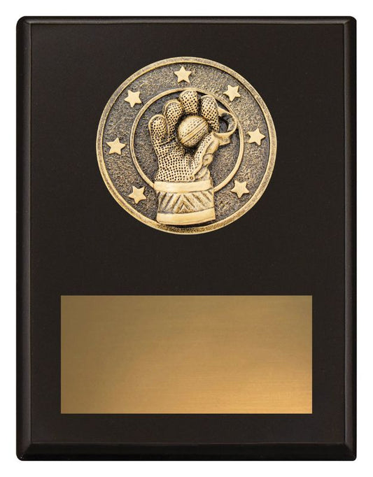 SP690B Challenge Plaque Wicketkeeping 175mm