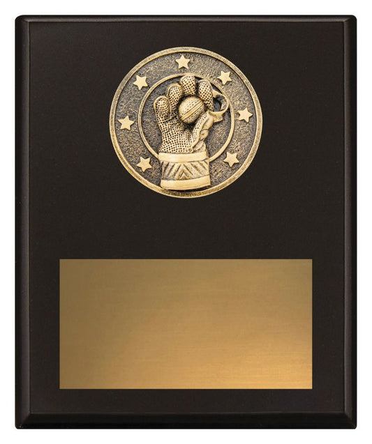 SP690C Challenge Plaque Wicketkeeping 200mm