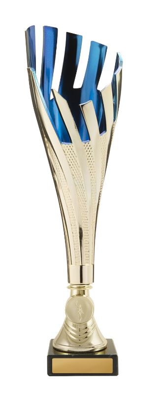 W22-0658 Tenerife Cup 31.7cm