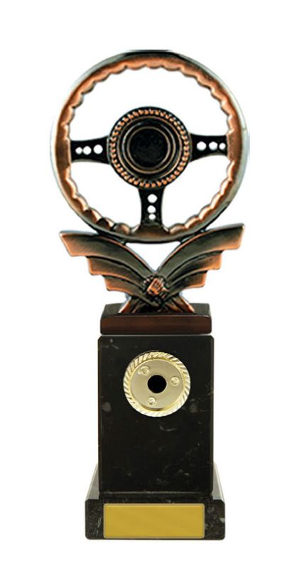 W22-10306 Steering Wheel on Column 24.5cm