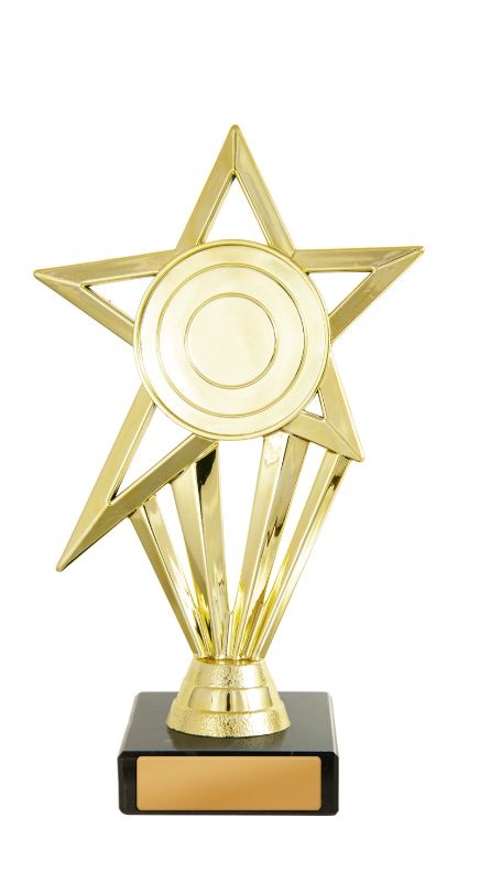 W22-11513 Star Holder 18.5cm