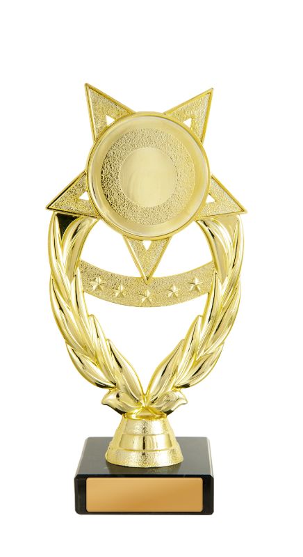 W22-11514 Star Holder 18.5cm
