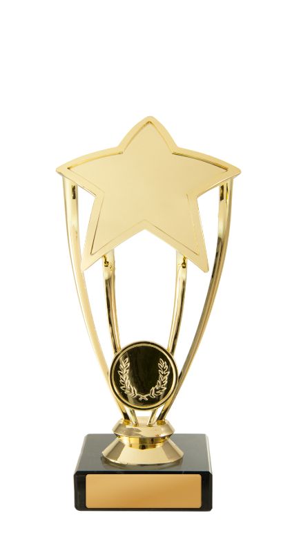 W22-11520 Star Holder 16.5cm