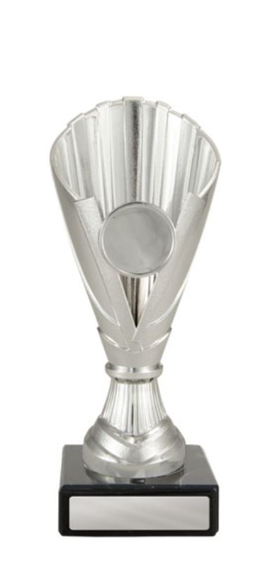 W22-1541 Norwood Cup 17cm