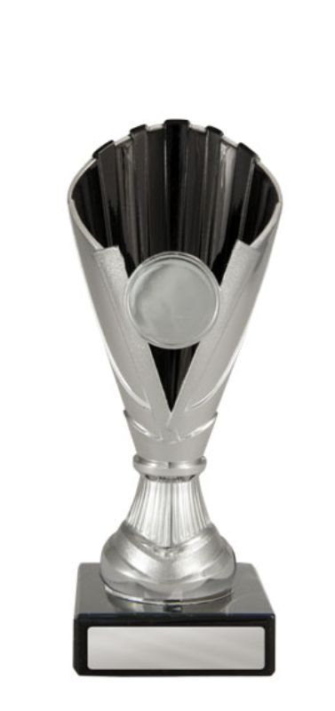 W22-1546 Norwood Cup 17cm