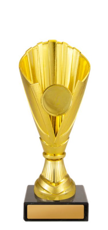 W22-1561 Norwood Cup 17cm