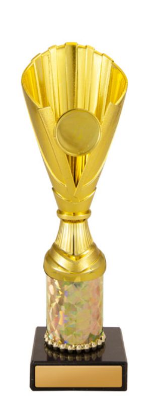 W22-1563 Norwood Cup 22.2cm