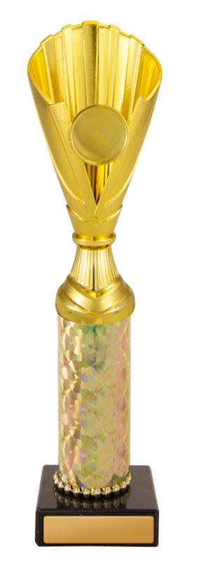 W22-1565 Norwood Cup 27.2cm