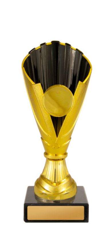 W22-1566 Norwood Cup 17cm