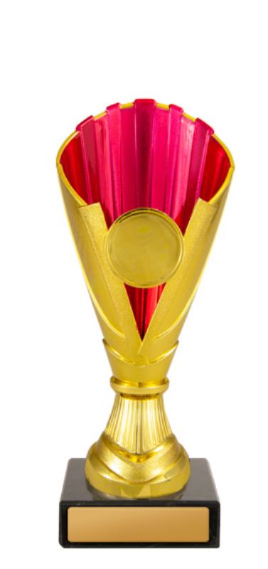 W22-1576 Norwood Cup 17cm