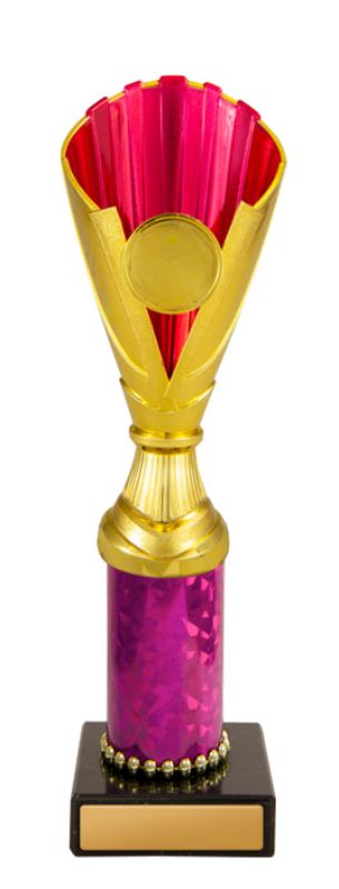 W22-1579 Norwood Cup 24.7cm